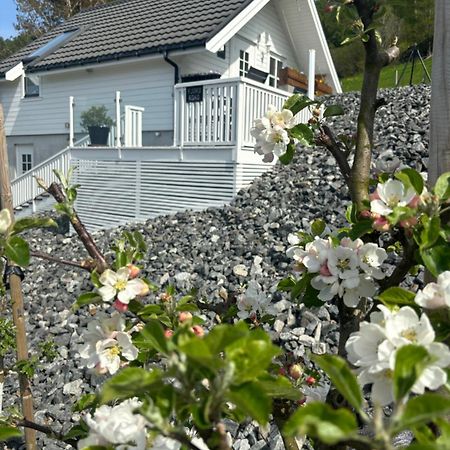 HjelmelandFjord Roadアパートメント エクステリア 写真