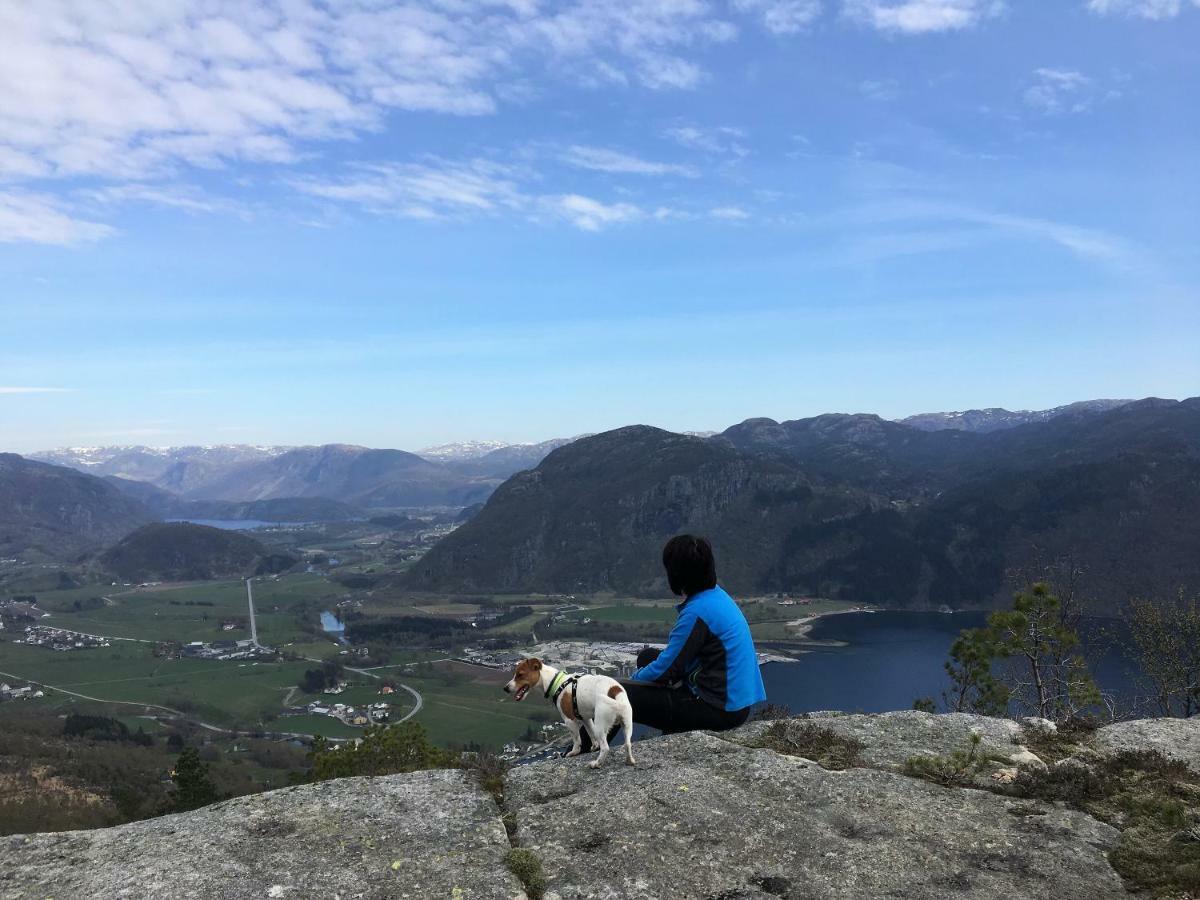 HjelmelandFjord Roadアパートメント エクステリア 写真